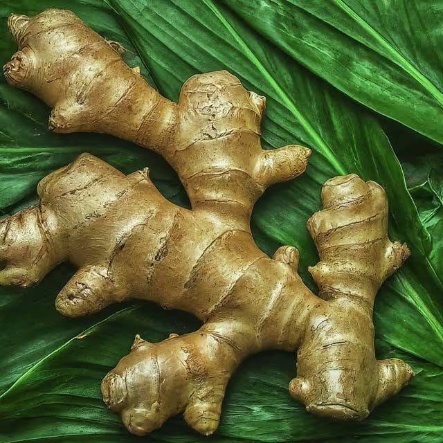 Harvesting and Storage Practices for Ginger and Ga